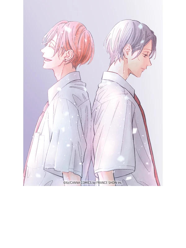콘트라스트