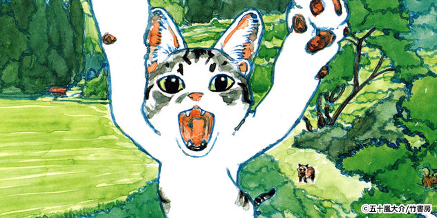 カボチャの冒険 五十嵐大介 ドラマ マンガ レジンコミックス カボチャの冒険 五十嵐大介 ドラマ マンガ レジンコミックス