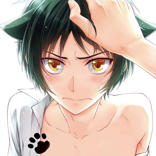how_to_train_wild_cat