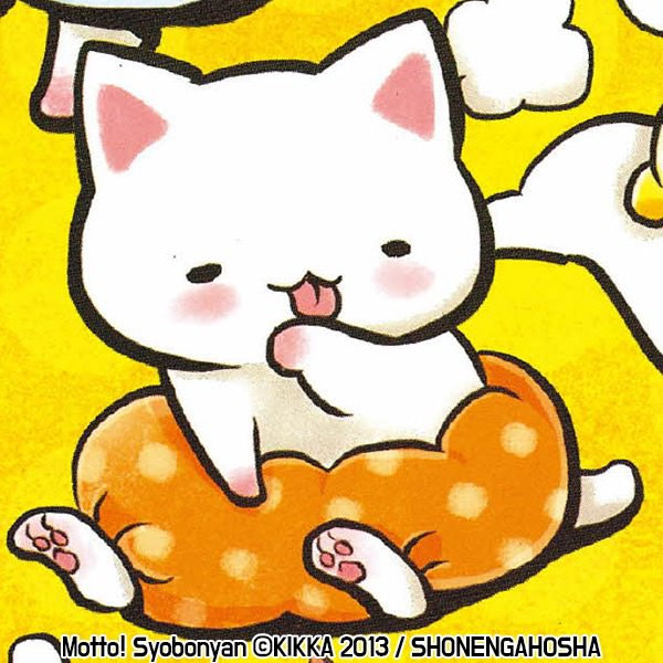 shobo_cat