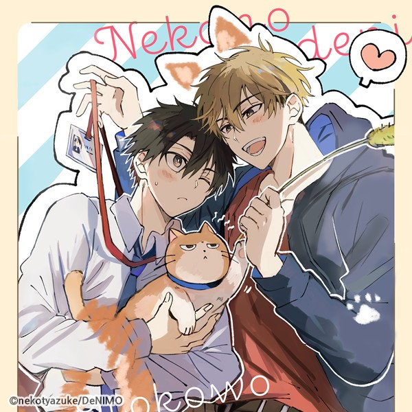 pick_cat_man