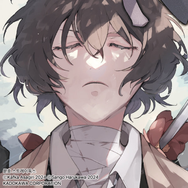 bungostraydogs