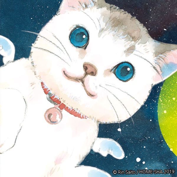 nocat