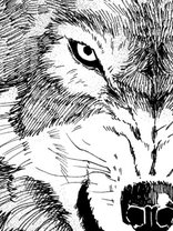 人狼ゲーム 小独活 川上亮 ミステリー マンガ レジンコミックス 人狼ゲーム 小独活 川上亮 ミステリー マンガ レジンコミックス