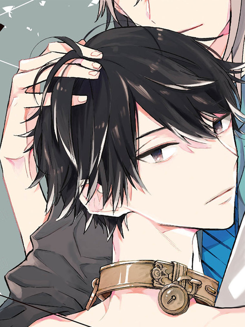 成れの果てアーカイブズ 八神あき Bl マンガ レジンコミックス