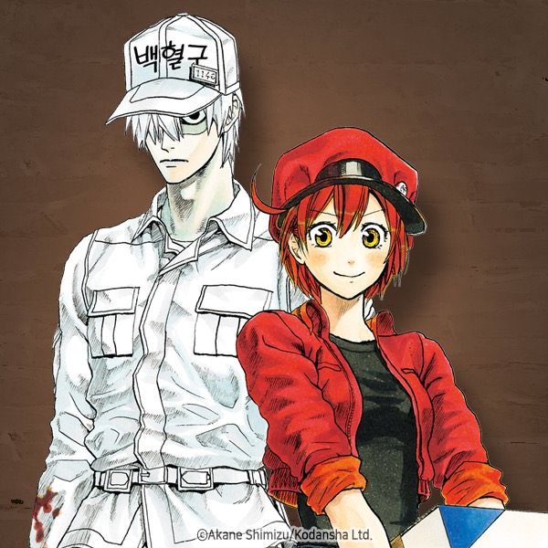 cells_at_work