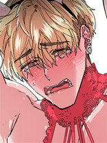 Sフラワー ジンミ Tl マンガ レジンコミックス