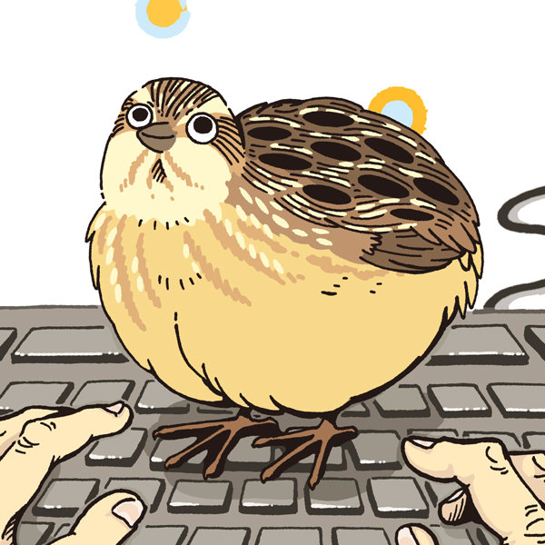 quails_time