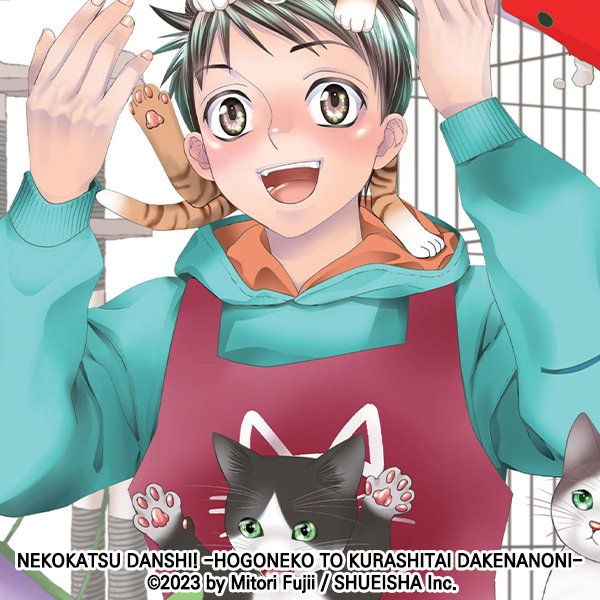 nekokatsu